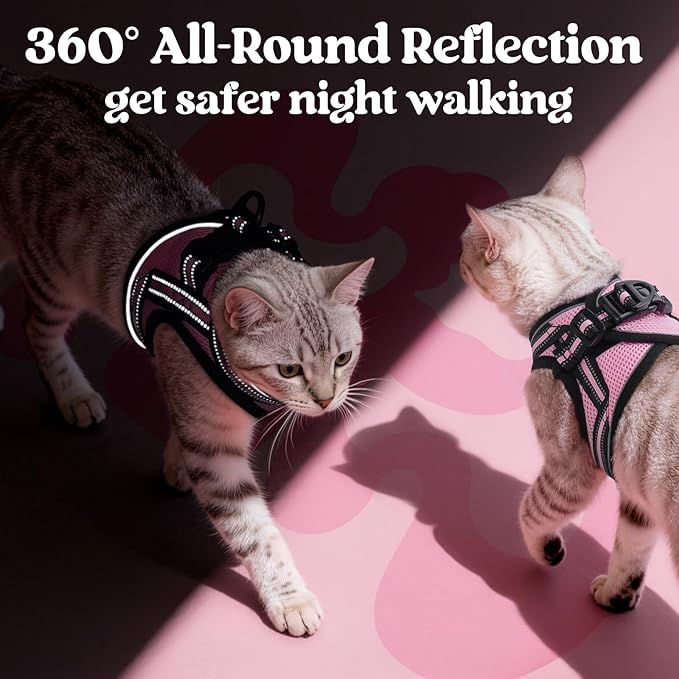 rabbitgoo Cat Harness and Leash, Step-in Escape Proof Kitten Harness Set, Soft Comfortable Cat Vest, Easy to Wear and Adjust, Reflective for Safe Outdoor Walking, Pink, Medium