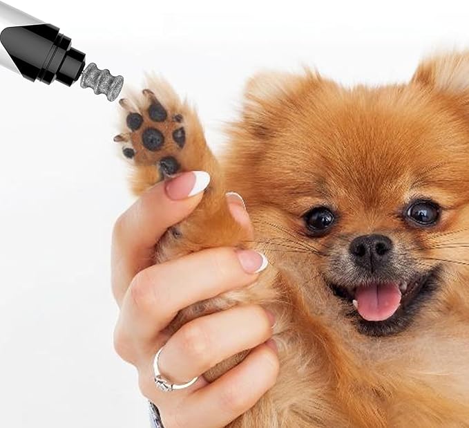 Ptwola Diamond Dog Nail Grinder Bits 1/8" Pet Rotary Toenail Grinder Attachment Dog Claw Grinder Replacement Heads Nail File Wheel for Medium Large Dogs Nail Care Trimming