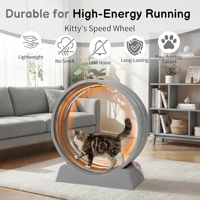 Outvita Cat Exercise Wheel for Indoor Cats, 31.5" Cat Treadmill with Detachable Carpet ＆ Locking Mechanism, Cats Running Wheel Helps Cats to Lose Weight and Keep Health, Easy Assembled (Gray)