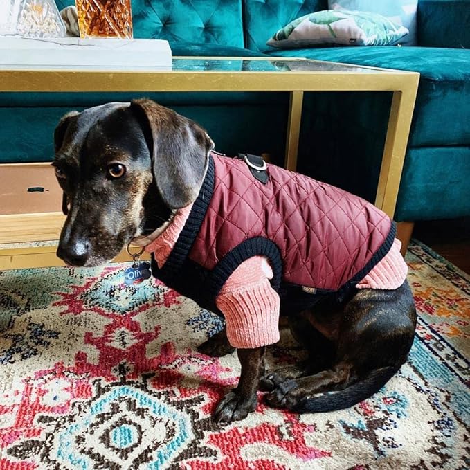 Gooby Fashion Vest Dog Jacket - Purple, X-Large - Warm Zip Up Dog Bomber Vest with Dual D Ring Leash Water Resistant for Small to Medium Dogs