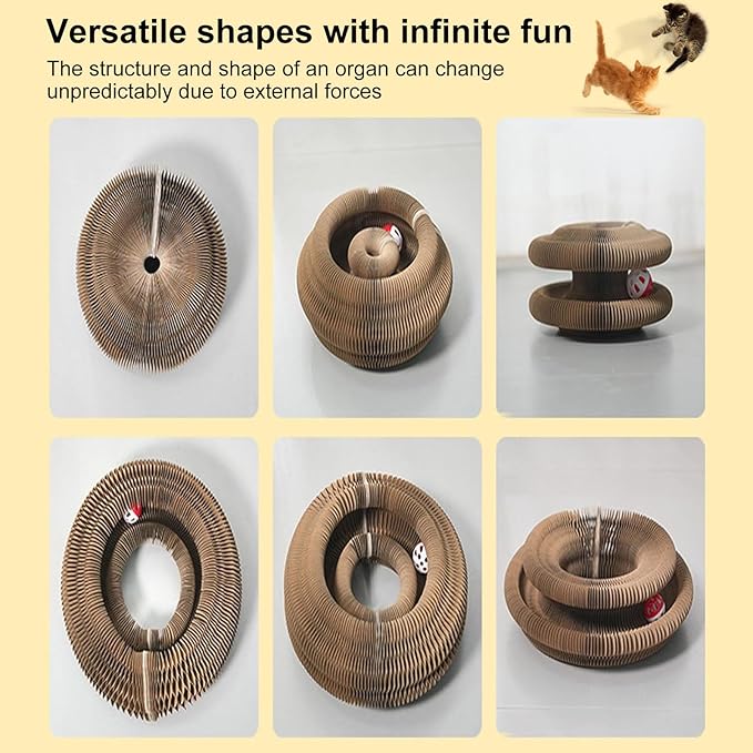 2PCS Kitty Curls Cat Toy,Foldable Magic Organ Cat Toy,Magic Organ Cat Scratcher Board,Foldable Recyclable Cat Accordion Toy for Indoor Cat Playing,Interactive Scratch Pad with Toy Ball
