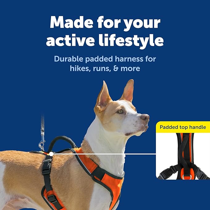 PetSafe EasySport Dog Harness Adjustable, Padded Dog Harness with Control Handle and Reflective Piping Medium, Orange