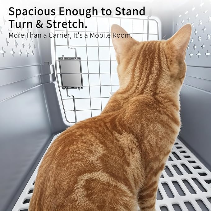 RIZZARI Portable Cat Carrier for Small Cats & Dogs:Secure Hard-Sided Pet Carrier with Ventilation - Metal Door & Carry Handle for Travel - Vet Visits & Daily Use (Gray, X-Small)