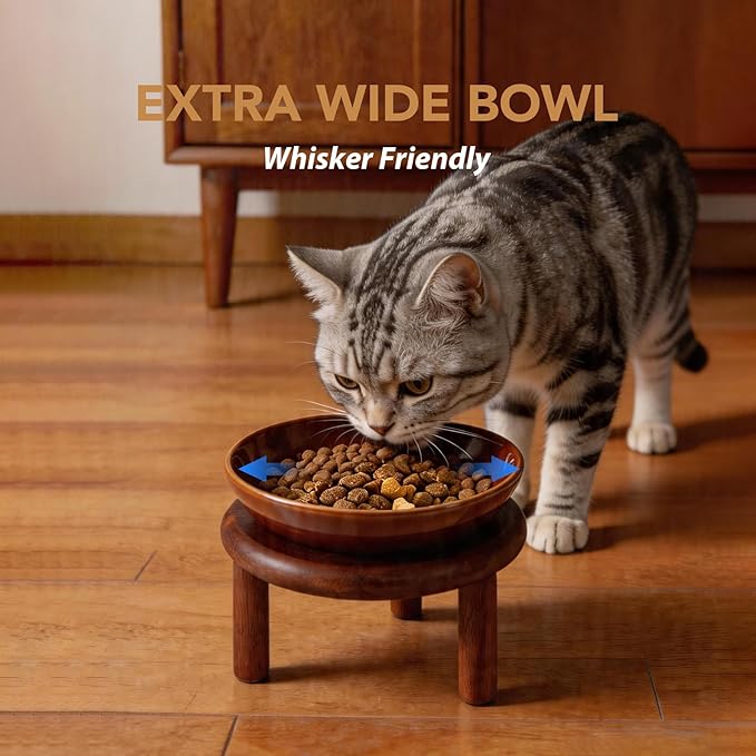 Havniva Elevated Cat Bowls Raised Ceramic Cat Bowl, 5.9” Wide Opening Cat Food Bowl Whisker Friendly Cat Dish Anti-Slip with Wood Stand, Shallow Pet Food & Water Bowl for Indoor Cats