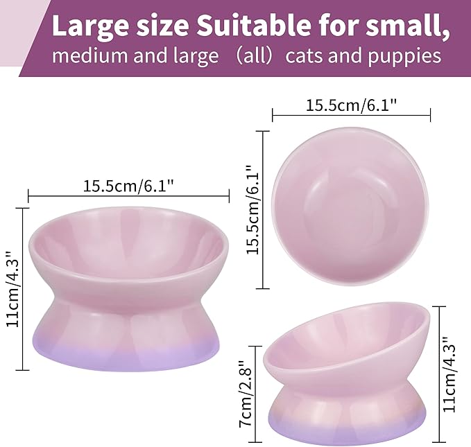 Cute Ceramic Tilted Food Bowls for Indoor Cats Cat Bowl Elevated Cat Bowls Whisker Friendly 6.1 Inch Wide 15° Raised Kitten Supplies Dishwasher and Microwave Safe Purple Cats Water Bowl