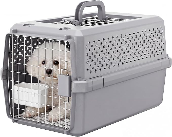 RIZZARI Portable Cat & Dog Carrier for Medium Pets:Hard-Sided Pet Travel Carrier with Ventilation - Secure Metal Door and Carry Handle for Travel - Vet Visits & Car Rides (Gray, Medium)