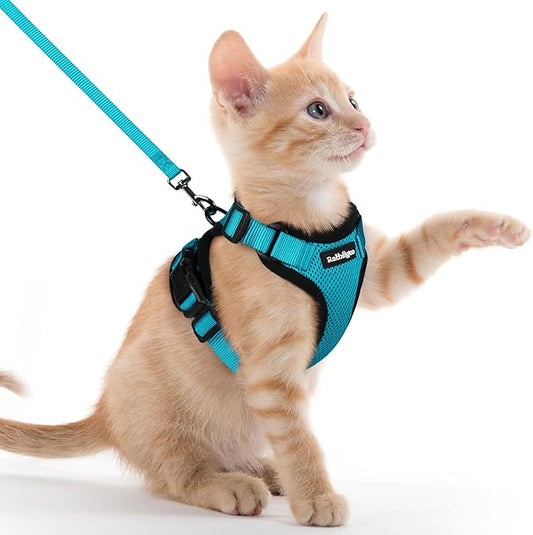 rabbitgoo Cat Harness and Leash Set, Escape Proof Kitten Harness for Safe Outdoor Walks, Soft Breathable Adjustable Vest with Reflective Strips for Kittens and Extra Small Cats, Teal, XXS