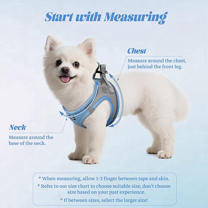 YIMEIS Dog Harness and Leash Set, No Pull Soft Mesh Pet Harness, Reflective Adjustable Puppy Vest for Small Medium Large Dogs, Cats (Greyblue, Medium (Pack of 1)