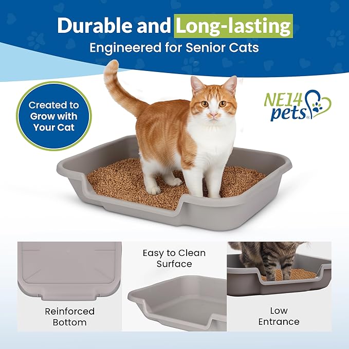 KittyGoHere Senior Cat Litter Box 1 Pack, Large Misty Gray Low Entrance Kitty Litter Box, Sized for Cats Comfort, Perfect for Senior and Arthritic Cats, Made in USA