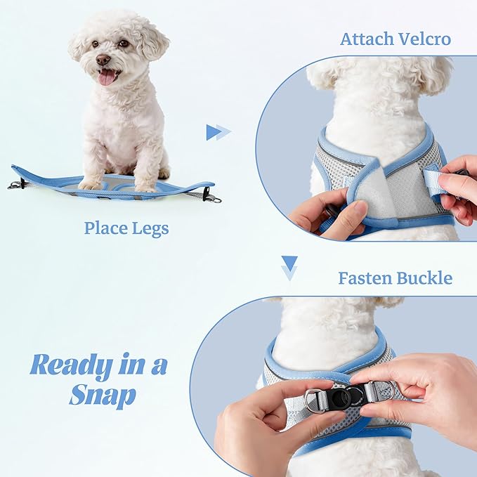 YIMEIS Dog Harness and Leash Set, No Pull Soft Mesh Pet Harness, Reflective Adjustable Puppy Vest for Small Medium Large Dogs, Cats (Greyblue, Small (Pack of 1))