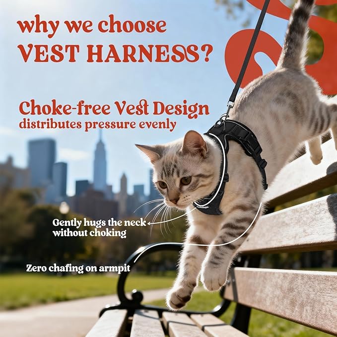 rabbitgoo Cat Harness and Leash Set, Escape Proof Kitten Harness for Safe Outdoor Walks, Soft Breathable Adjustable Vest with Reflective Strips for Kittens and Small Cats, Black, XS