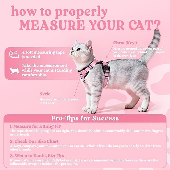 rabbitgoo Cat Harness and Leash Set, Escape Proof Kitten Harness for Safe Outdoor Walks, Soft Breathable Adjustable Vest with Reflective Strips for Kittens and Small Cats, Pink, XS