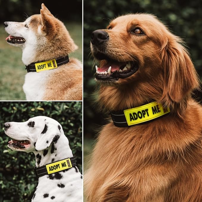 Tuff Pupper 2-Pack Waterproof Collar Sleeves | Fits Any 1 Inch Wide Dog Collar | Dual Sided Message | Durable Silicone & Neoprene | Odor & Stink Proof | Easy Slide On & Off (Adopt Me, Standard)