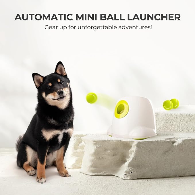 AFP Automatic Ball Launcher for Dogs, USB Rechargeable Interactive Dog Ball Thrower Machine, Auto Fetch Launcher for Small&Medium Dogs, Indoor Outdoor Puppy Play Toy, 3 Tennis Balls Included (2 Inch)