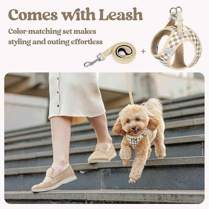 rabbitgoo Dog Harness Small Medium Sized and Leash Set, Step in Soft Light Puppy Vest, Breathable Mesh Pet Harness, Reflective for Safe Easy Walking, Beige Check L