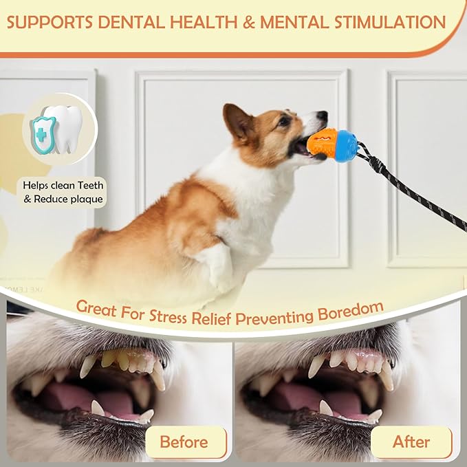 Interactive Dog Puzzle Toy,Cognitive Dogs Toy to Stimulate Their Brain, Treat Dispensing Toys with Slow Feeder, Suction Cup Toys,Blue Orange