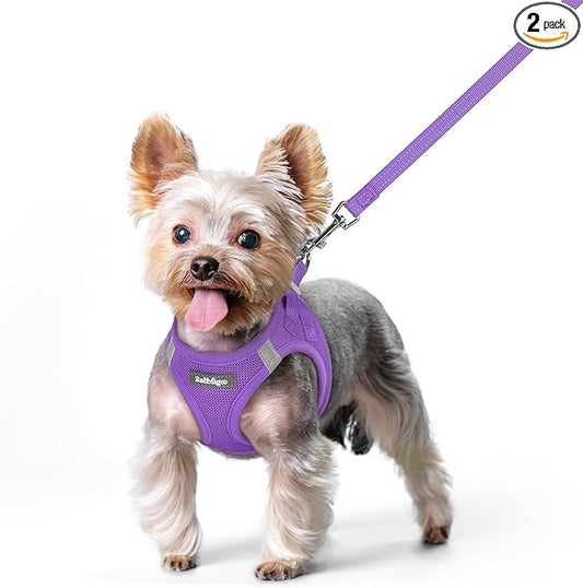 rabbitgoo Dog Harness Small Sized and Leash Set, Step in Soft Light Puppy Vest, Breathable Mesh Pet Harness, Reflective for Safe Outdoor Walking, Purple XS