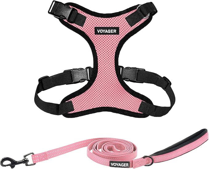 Best Pet Supplies Voyager Step-in Lock Pet Harness w Reflective Pet Leash Combo Set with Neoprene Handle 5ft - Supports Small, Medium and Large Breed Puppies/Cats - Pink/Black Trim, L
