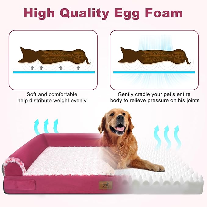 Orthopedic Dog Bed - Breathable Egg-Crate Foam Sofa Couch with Bolster, Water-Resistant Liner & Washable Rose Velvet - Ideal for Corgis, French Bulldogs, Rose Pink, L (35'' x 22'')
