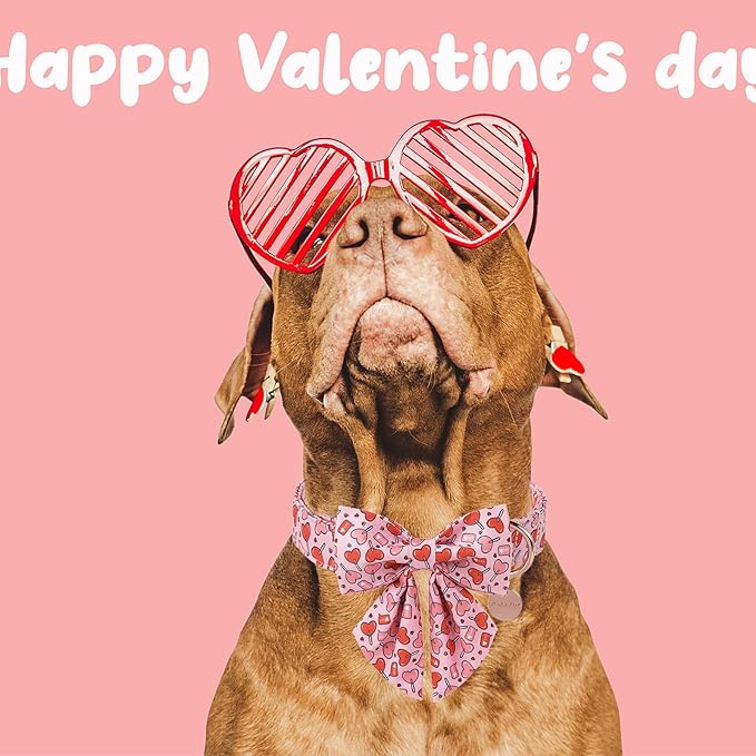 Valentine’s Day Dog Collar with Bow Tie, Pink Heart Bowtie Collar with Metal Buckle, Valentine’s Day Gift Pet Collar for Puppy Girl Boy Dog or Cat, Wedding Dog Collar,XL, Neck 16-26in