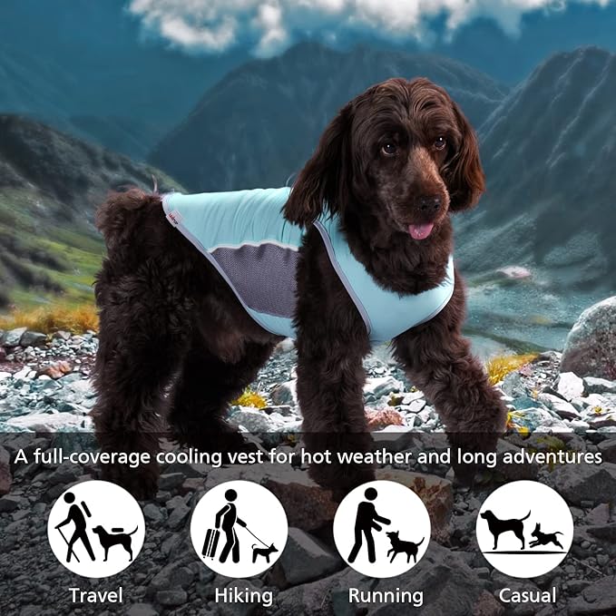 UPF 50+ Sun Protection Dog Shirt for Medium Dogs - Quick-Dry Breathable Sleeveless Vest with Reflective Strips, Sports Fan T-Shirt, Lightweight UV Protective Apparel P23ST00501XXL