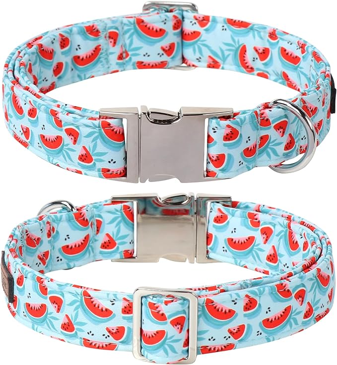 Lionet Paws Watermelon Dog Collar with Bowtie, Cute Summer Cyan Dog Collar for Girl for Small Dogs, Adjustable Cotton Pet Puppy Collars for Small Dogs