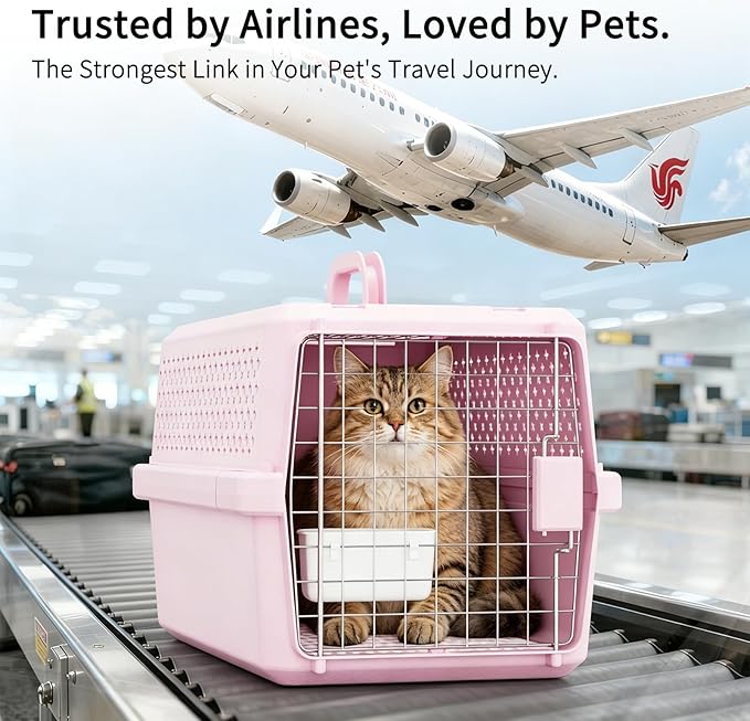 RIZZARI Pets Spree Hard-Sided Pink Pet Carrier, Portable Crate for Medium Dogs & Cats, Durable Plastic with Metal Door & Ventilation, Ideal for Weekend Outings & Air Travel