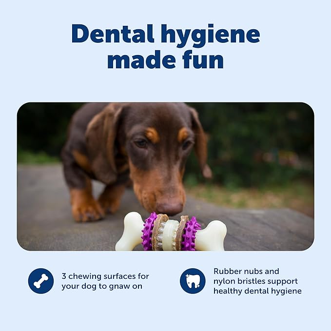 PetSafe Busy Buddy Bristle Bone Dog Chew Toy - Treat Holding Toothbrush Toy for Hard Chewers - Helps Keep Your Dog's Teeth Clean - Durable, Interactive - Purple, Large
