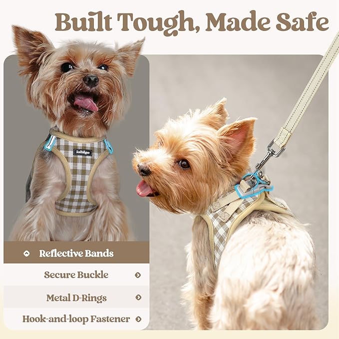 rabbitgoo Dog Harness Small Sized and Leash Set, Step in Soft Light Puppy Vest, Breathable Mesh Pet Harness, Reflective for Safe Easy Walking, Beige Plaid S