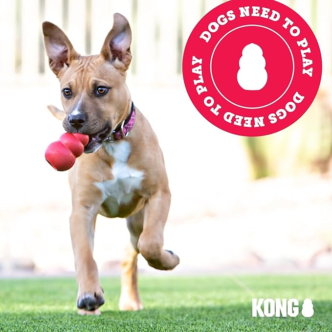 KONG Wild Knots Bears - Durable Dog Toys with Internal Knotted Ropes and Minimal Stuffing for Less Mess (Assorted Colors) (X Large)