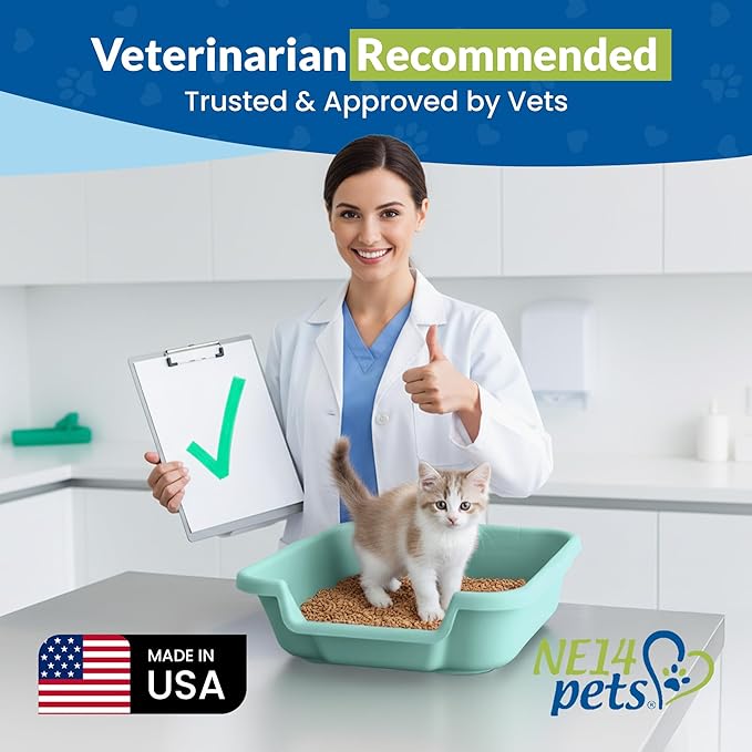 KittyGoHere Senior Cat Litter Box, Small Litter pan, Open Top Low Entrance Kitty Litter Box, Lightweight Low Entry Litters Box, Durable, Made in USA (2 Pack - Apple Green)