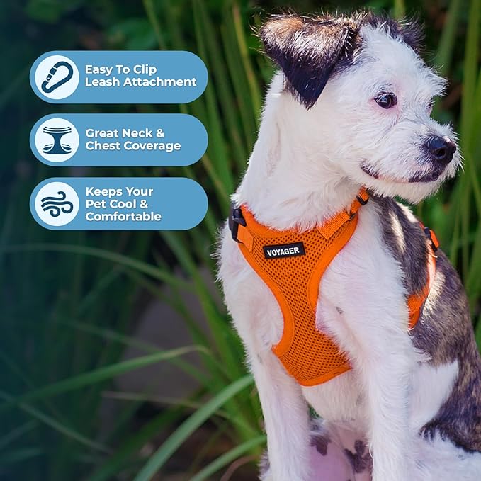 Best Pet Supplies Voyager Step-in Lock Pet Harness w Reflective Pet Leash Combo Set with Neoprene Handle 5ft - Supports Small, Medium and Large Breed Puppies/Cats - Orange Set, XL