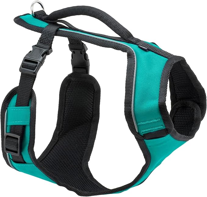 PetSafe EasySport Harness Padded Straps Fully Adjustable Elastic Neckline Best for Athletic Dogs Top Handle for Quick Control - Large - Teal