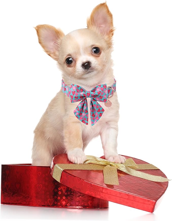 Valentine’s Day Dog Collar with Bow Tie, Pink Heart Bowtie Collar with Metal Buckle, Valentine’s Day Gift Pet Collar for Puppy Girl Boy Dog or Cat, Wedding Dog Collar, XS, Neck 8-12in