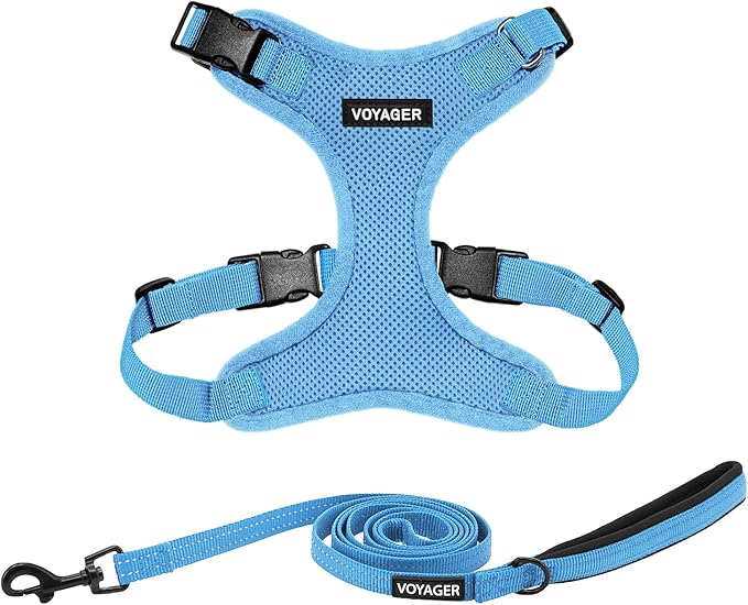 Best Pet Supplies Voyager Step-in Lock Pet Harness w Reflective Pet Leash Combo Set with Neoprene Handle 5ft - Supports Small, Medium and Large Breed Puppies/Cats - Baby Blue, XL