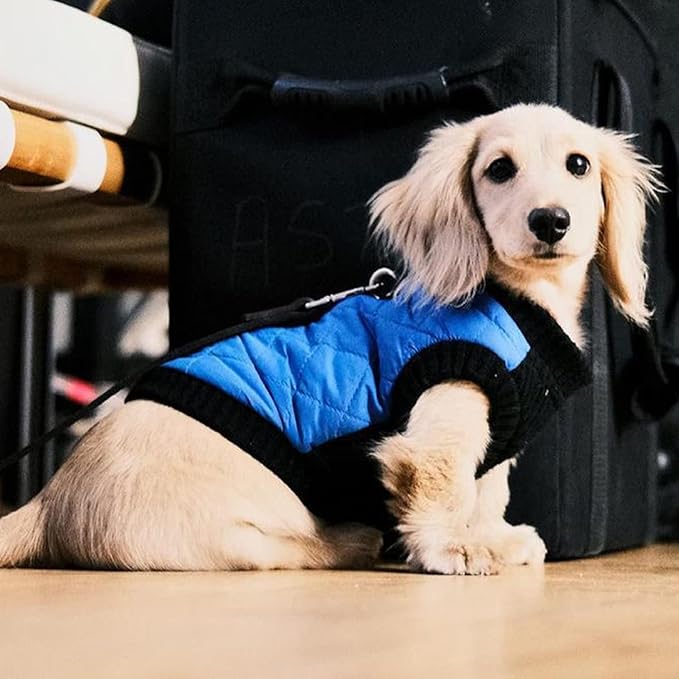 Gooby - Fashion Vest, Small Dog Sweater Bomber Jacket Coat with Stretchable Chest, Blue, Medium