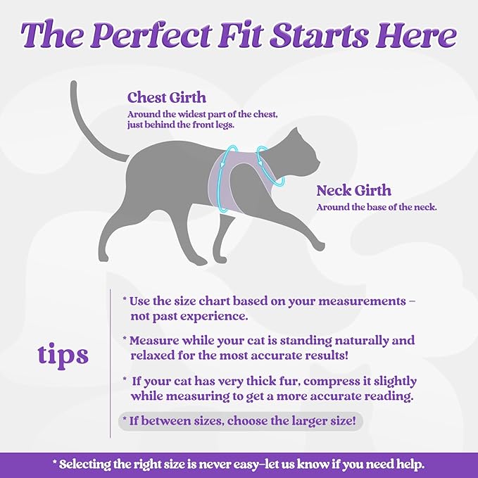 rabbitgoo Cat Harness and Leash, Step-in Escape Proof Kitten Harness Set, Soft Comfortable Cat Vest, Easy to Wear and Adjust, Reflective for Safe Outdoor Walking, Purple, Medium