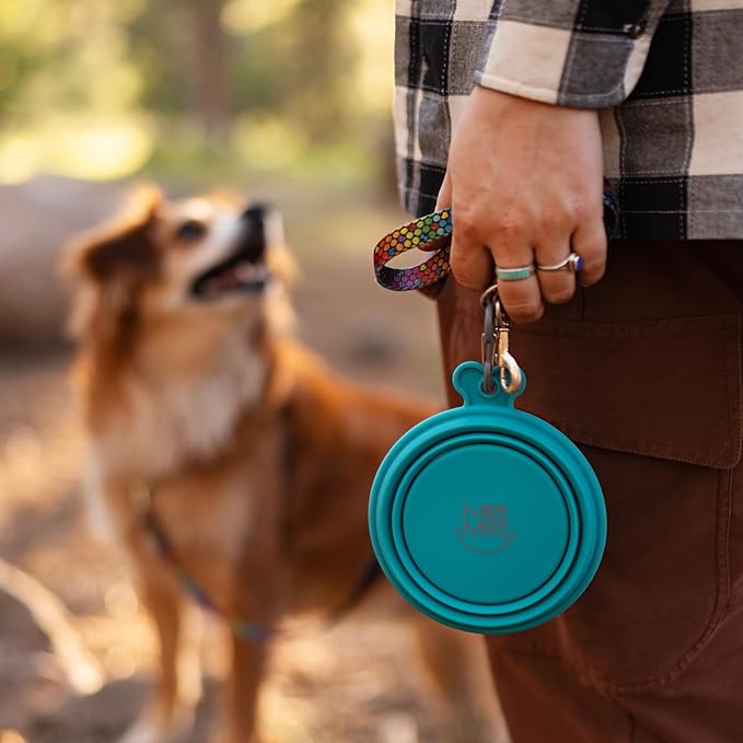 Messy Mutts Silicone Collapsible Bowl | Pet Travel Necessity | Portable Water or Food Dish | Pop Up Watering Bowl | Camping, Hiking, Walking Accessory | Large, 3 Cups | Watermelon