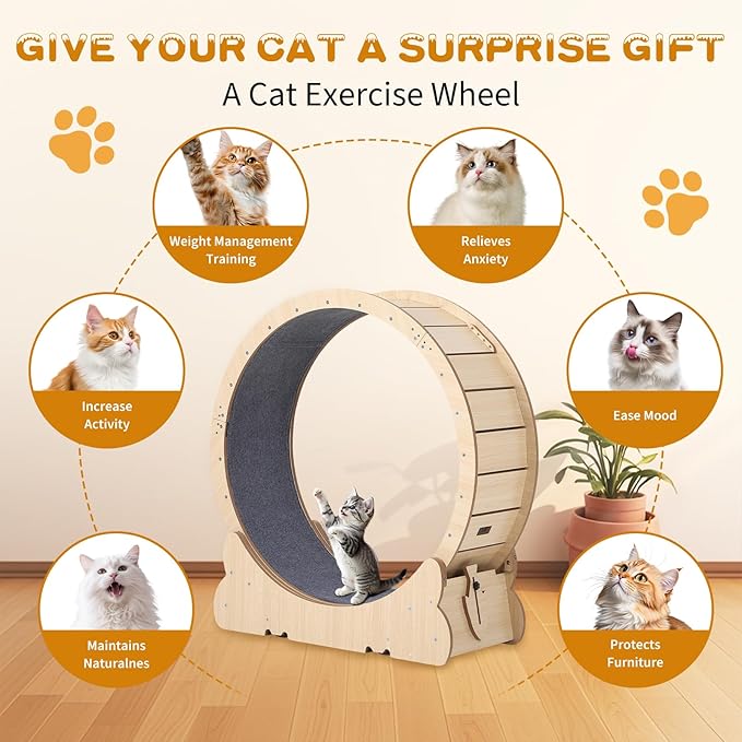 Garvee 35.4 Inch Cat Exercise Wheel for Indoor Cats, Large Cat Treadmill Wheel with Detachable Carpeted Runway, Versatile Cat Toy Running Wheel Treadmill, Pet Activity Center for Weight Loss Health