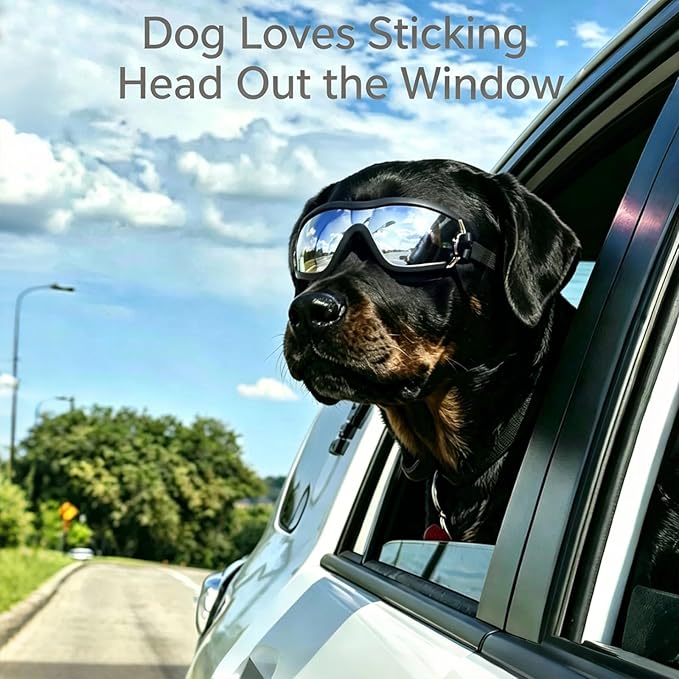 LESYPET Dog Goggles Large Breed, UV Wind Dust Protection Large Dog Sunglasses Eye Protection, Eye Wear Pet Glasses with Adjustable Strap for Outdoor Riding, L