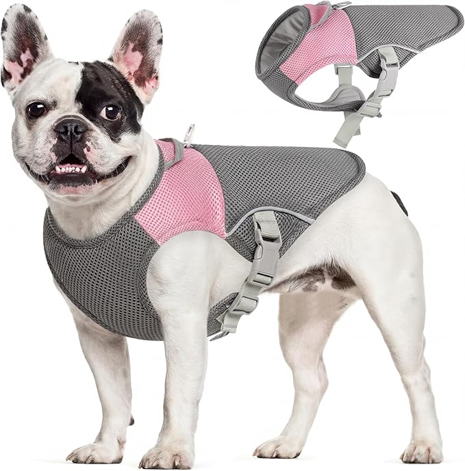 AOFITEE Dog Cooling Vest Small Dogs, Breathable Cooling Jacket for Dogs UV Protection Shirt, Dog Cooler Shirt with Harness D-Ring, Lightweight Summer Cooler Vest for Small Medium and Large Pet