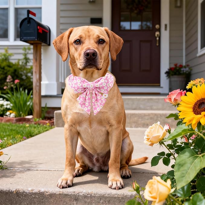 DOGWONG Spring Dog Collar with Sailor Bow, Soft Comfortable Adjustable Cute Pink Daisy Collar for Puppies and Cats, XS