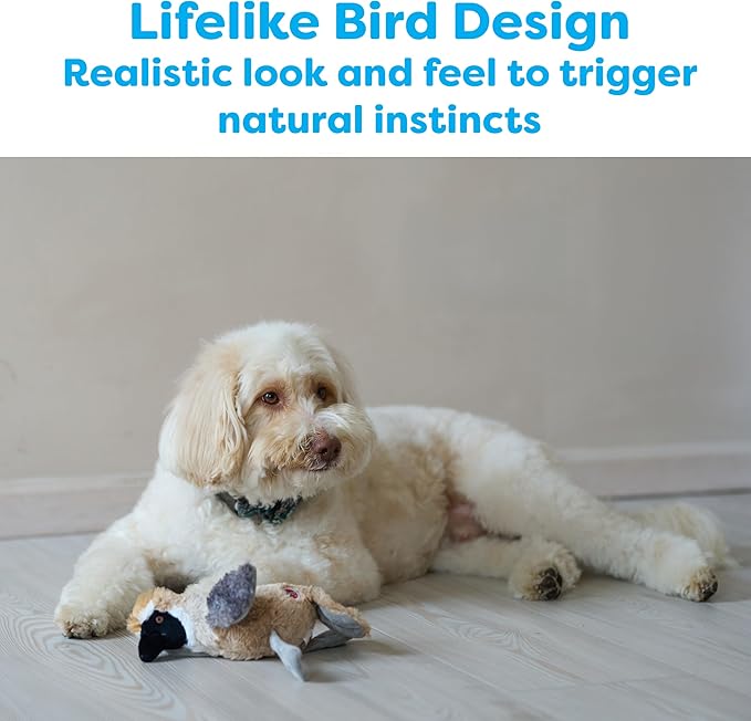 SPOT Bird Calls Plush Dog Toy with Realistic Bird Sound – 12" Sound Chip Toy for Dogs, One of Three Assorted Styles, Engaging Indoor Play for Small and Medium Breeds
