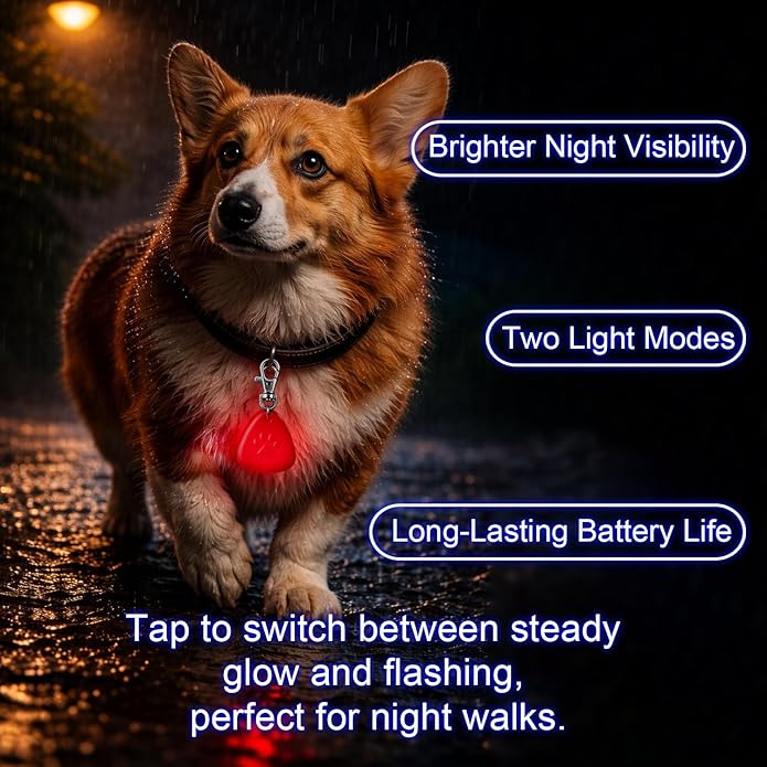 QUELIEN LED Dog Collar Light, Clip-On Dog Safety Light for Night Walking, High Visibility Light Up Dog Collar Accessory for Summer Camping & Hiking, Lightweight for All Pets, Red