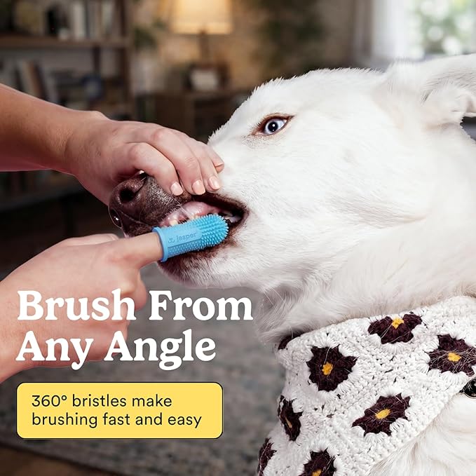 Jasper Dog Toothbrush, 360 Degree Dog Tooth Brushing Kit, Cat Toothbrush, Canine Dental Care & Teeth Cleaning Kit, Pet Finger Tooth Brush, Use with Pet Toothpaste, 4-Pack Blue