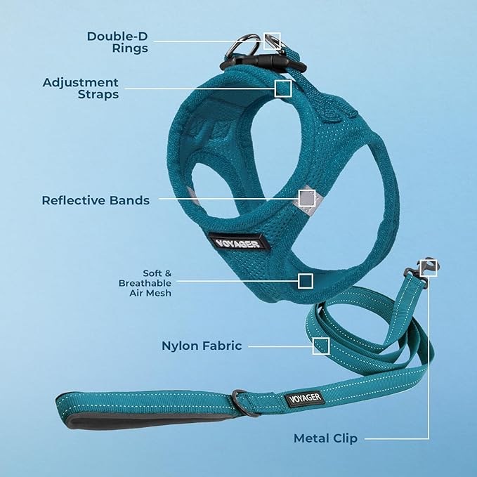 Best Pet Supplies Voyager Step-in Air All Weather Mesh Harness and Reflective Dog 5ft Leash Combo with Neoprene Handle, for Small, Medium and Large Breed Puppies - Set (Turquoise), Medium