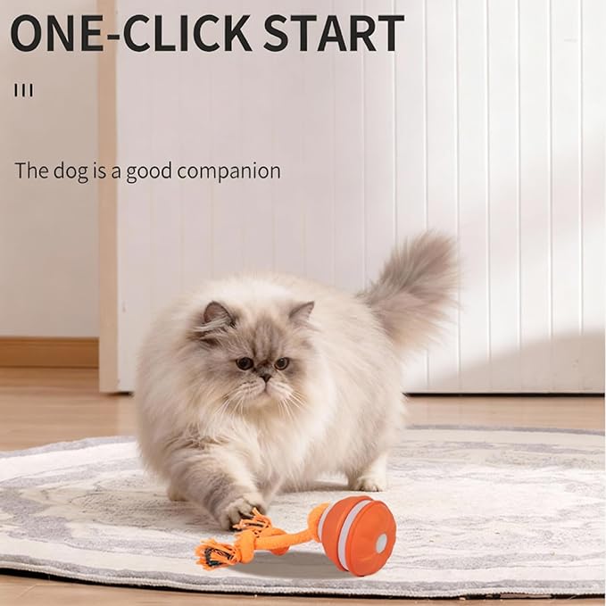 Interactive Dog Toy - Automatic Rolling Ball with Bird Sound, Durable Chew Toy for Small Medium Dogs & Cats, Type-C Rechargeable (Orange)