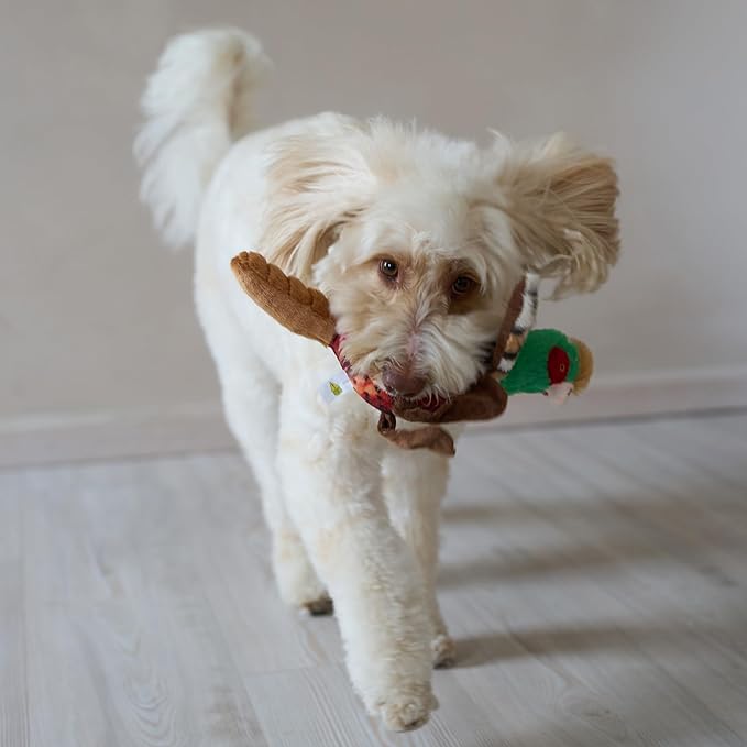 SPOT Bird Calls Plush Dog Toy with Realistic Bird Sound – 12" Sound Chip Toy for Dogs, One of Three Assorted Styles, Engaging Indoor Play for Small and Medium Breeds