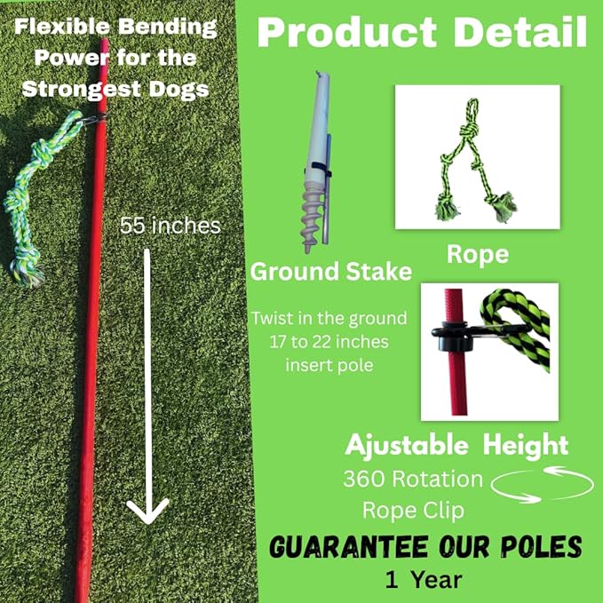 Outdoor Tug of War Toy for Dogs Rope Toy – Interactive Exercise Game in Yard, Agility, Medium, Large Extra Large & Small Breed –– Dogs Training Tools & Exercise Equipment, Belgian Malinois