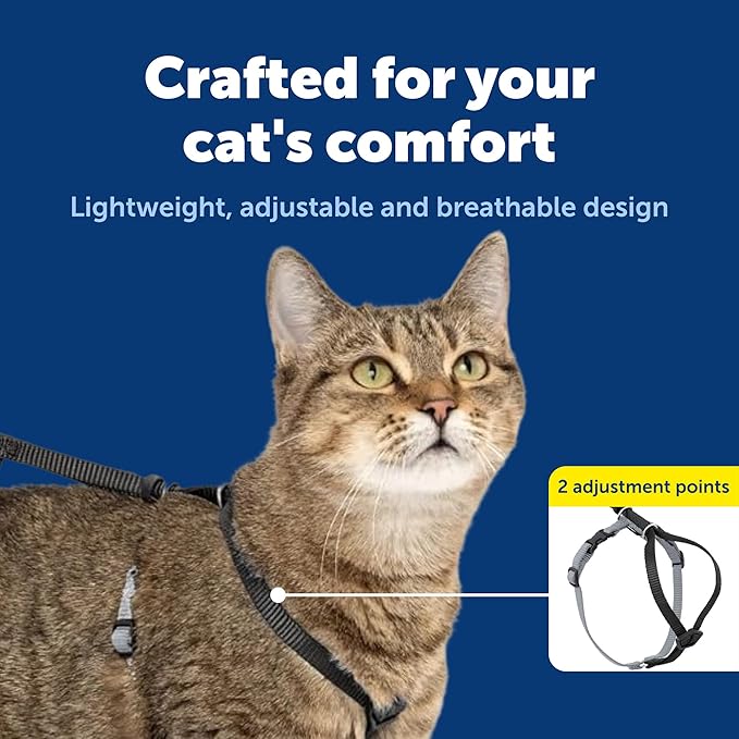PetSafe Come with Me Kitty Harness and Bungee Leash Adjustable, Lightweight Harness for Cats Small, Black